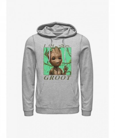 Marvel's Guardians of the Galaxy Grey Jungle Vibes Hoodie for Men
