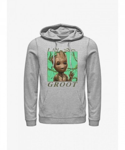 Marvel's Guardians of the Galaxy Grey Jungle Vibes Hoodie for Men