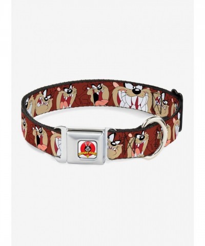 Looney Tunes Tasmanian Devil Brown Dog Collar with Seatbelt Buckle