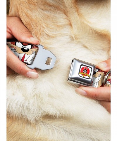 Looney Tunes Tasmanian Devil Brown Dog Collar with Seatbelt Buckle