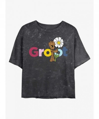 Marvel Guardians of the Galaxy Mineral Wash Groot Crop T-Shirt for Girls - Multi